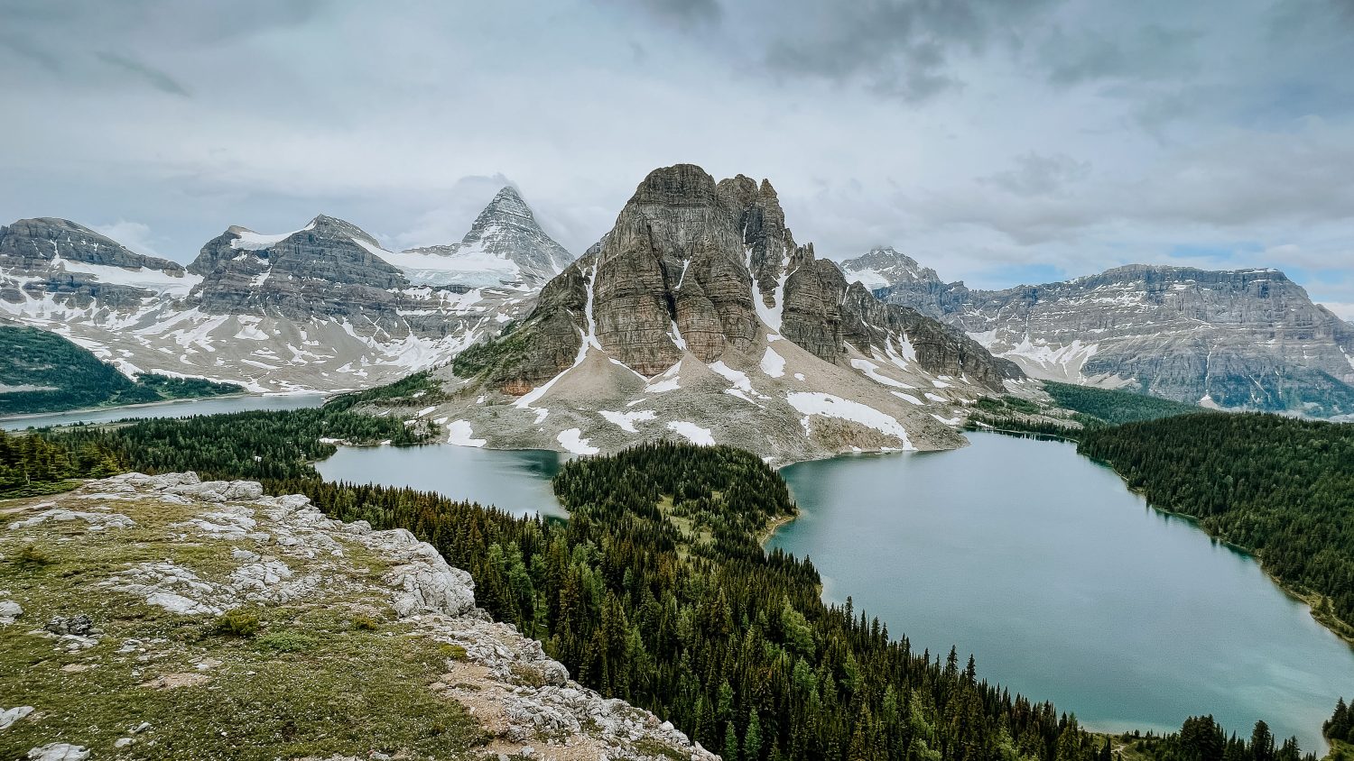 assiniboine