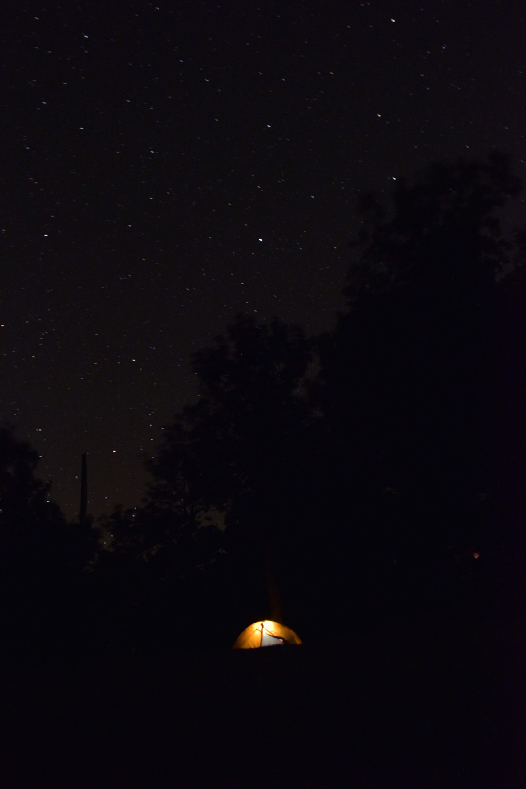 Twisties, Curves, and Canopies: A Journey Through the Ozarks ...