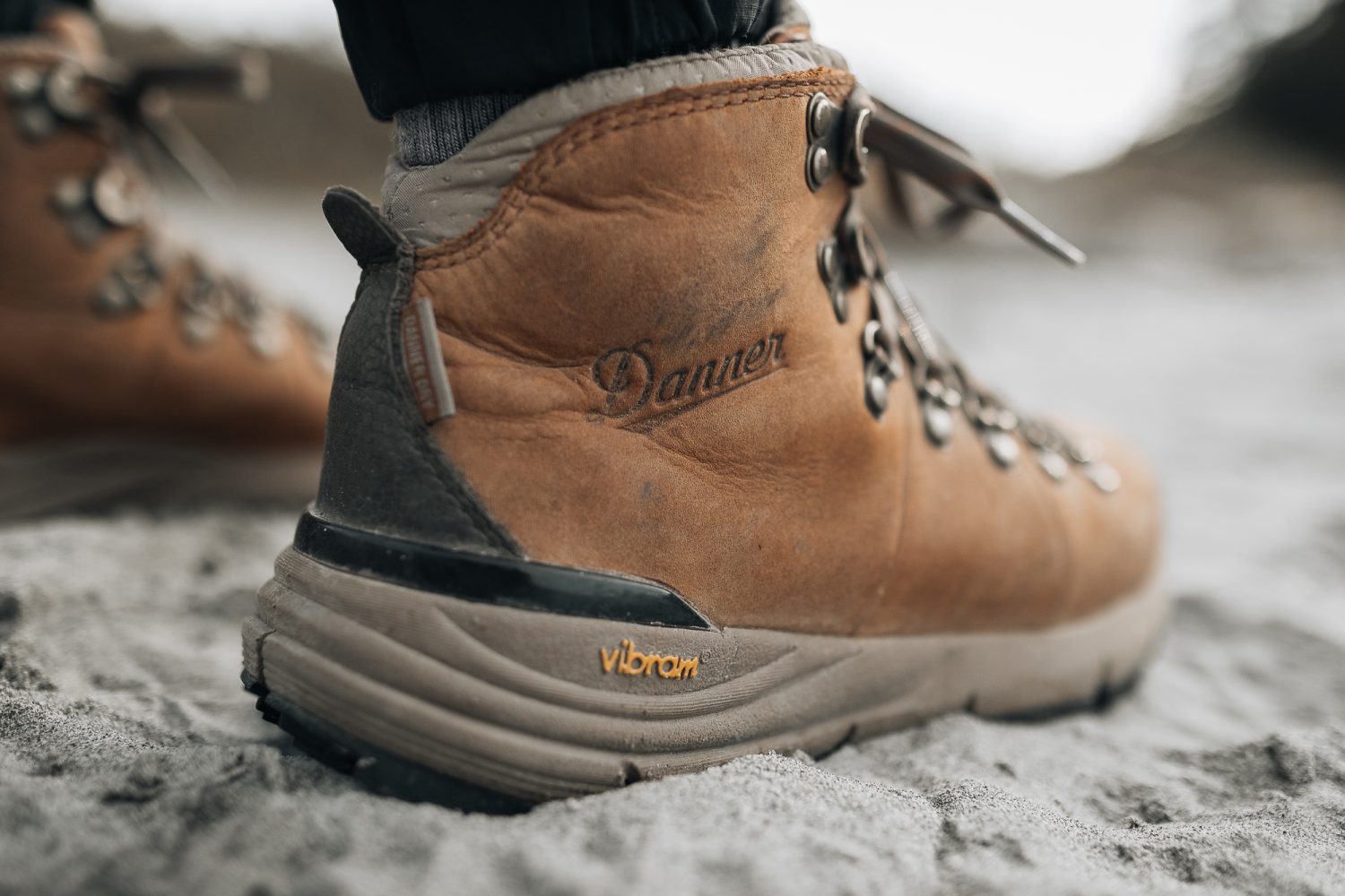 Danner 600 hotsell rich brown