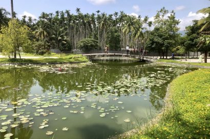 perspective of the ashram