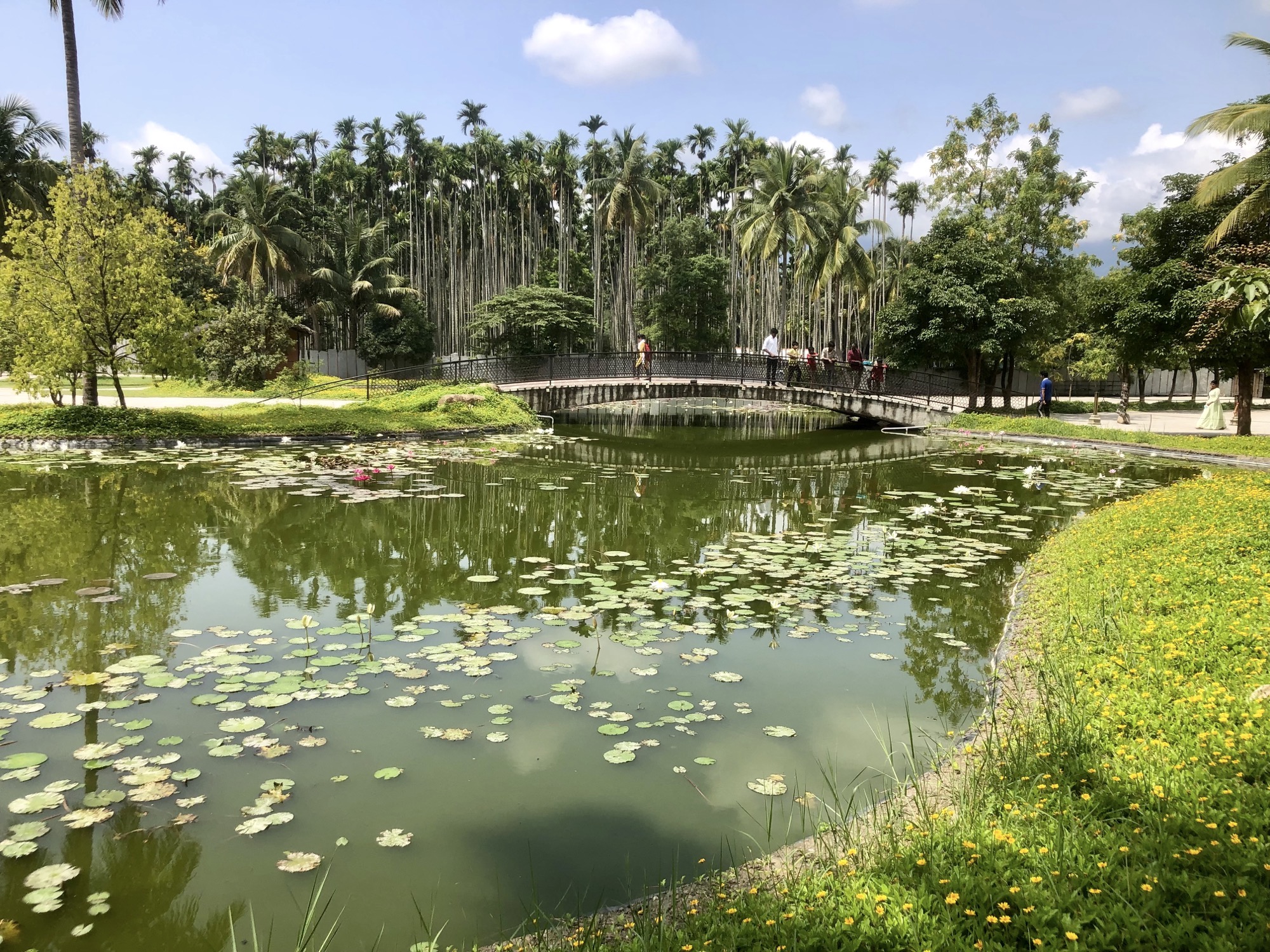 perspective of the ashram