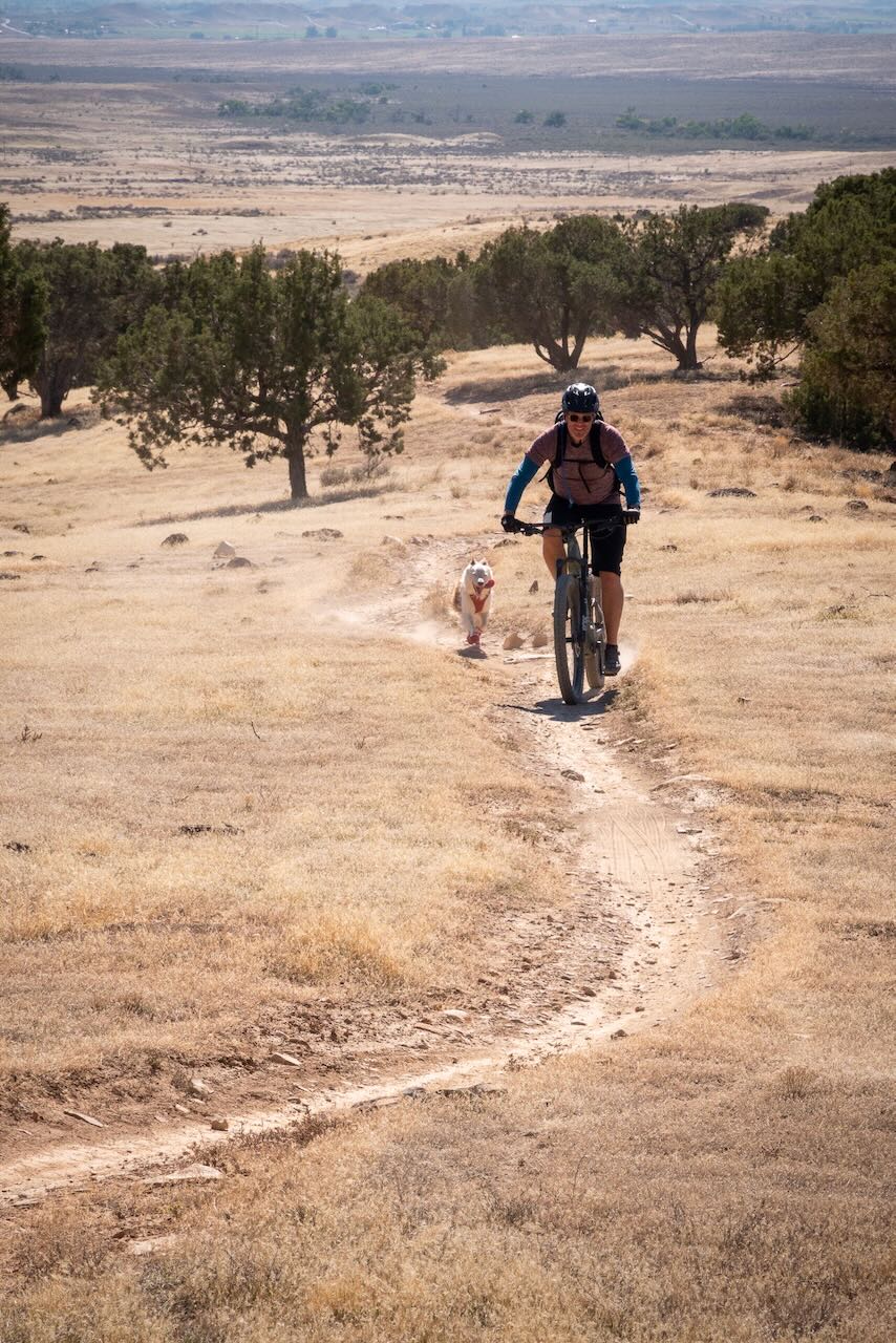 Climbing through the North Fruita Desert on “Western Zippity”