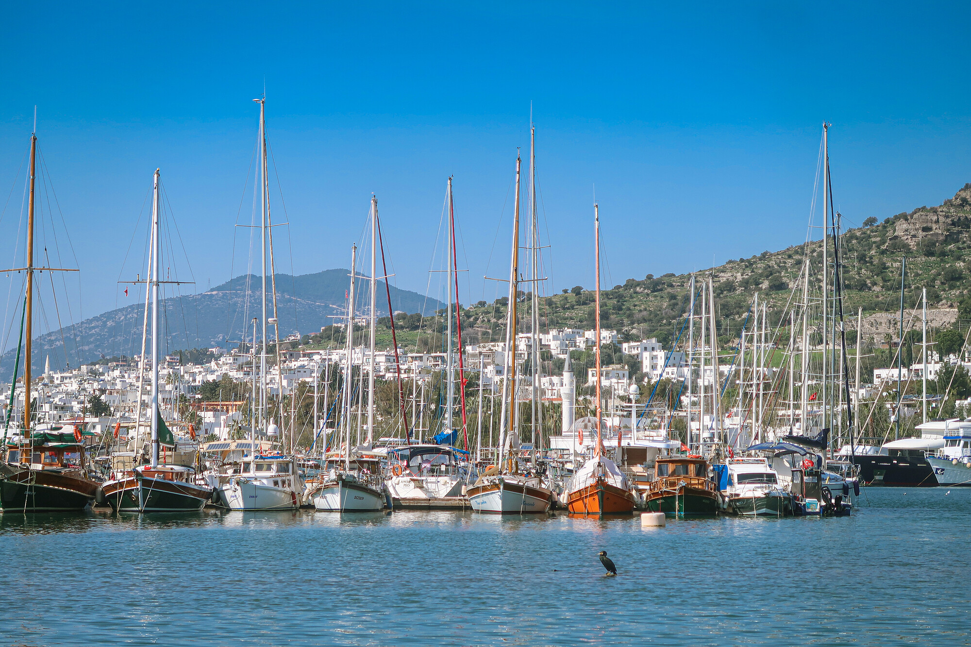 Ceramic Gulf - Turkey