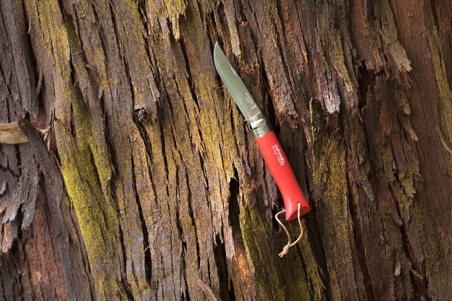 Opinel No. 08 Folding Knife Review - Adventure Motorcycle Magazine