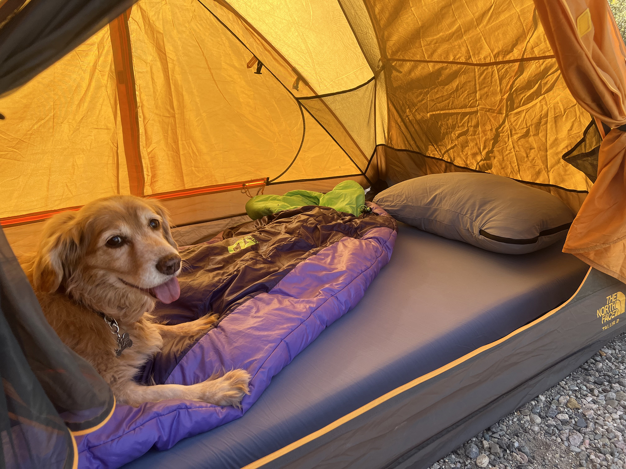 Hest Foamy and Camp Pillow