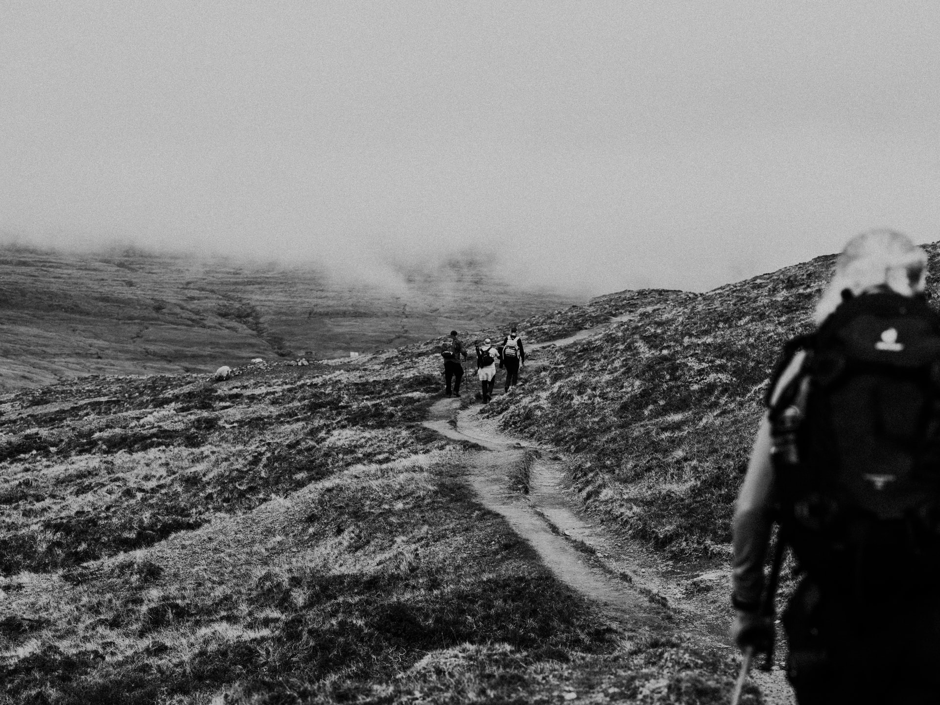 Hikers on a mountain