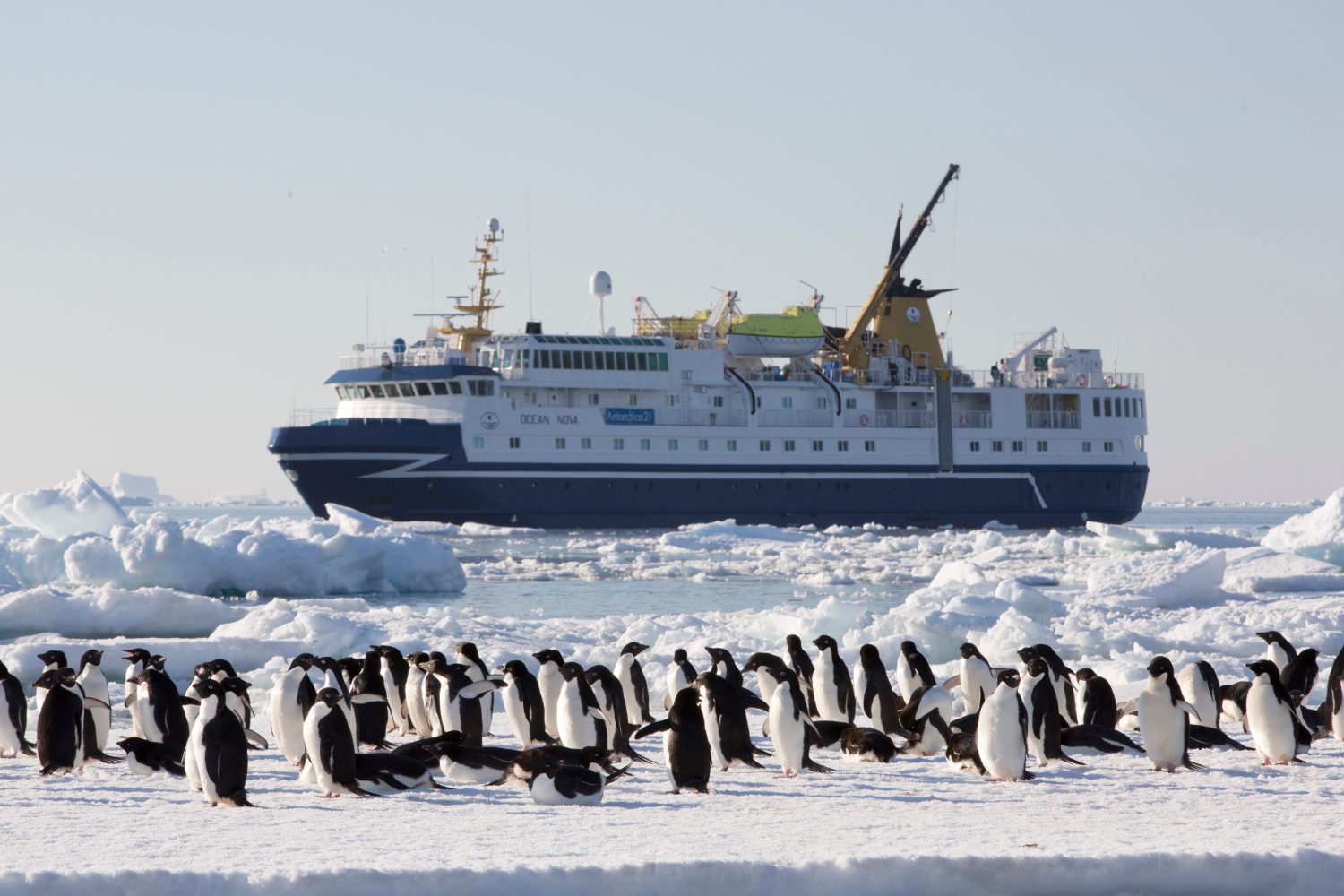 Enter to Win a FlyandSail Expedition to Antarctica Aboard a Boutique