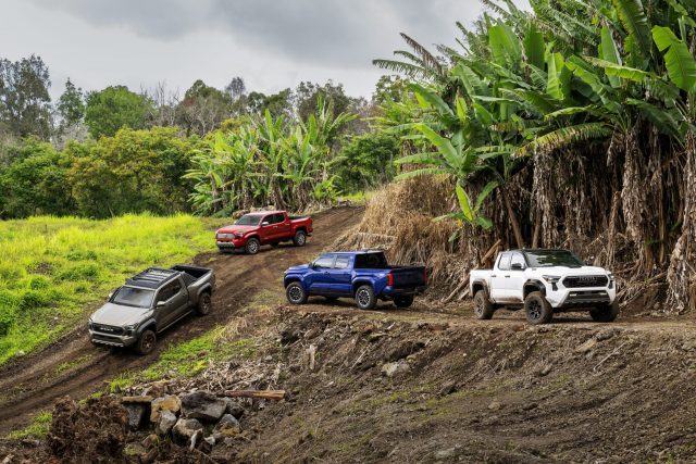 2024 Toyota Tacoma on trails