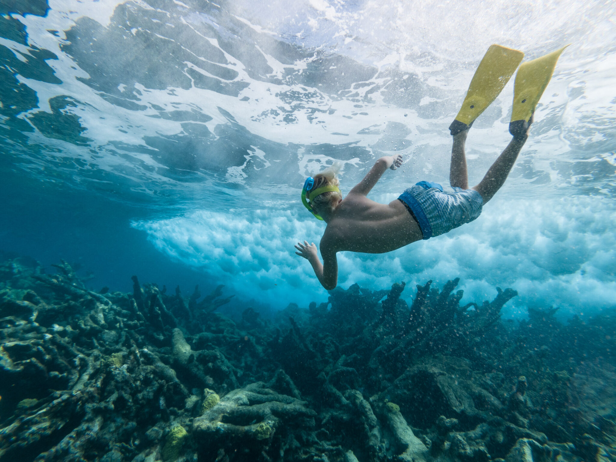 sailing and scuba