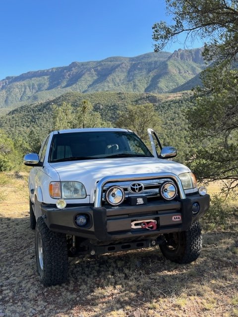 Tundra in the backcountry