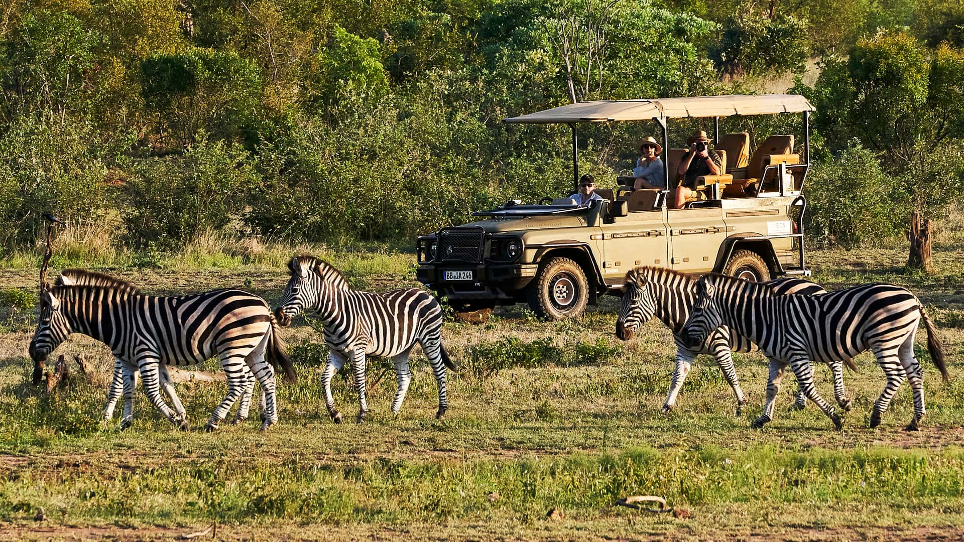 Ineos Grenadier Safari