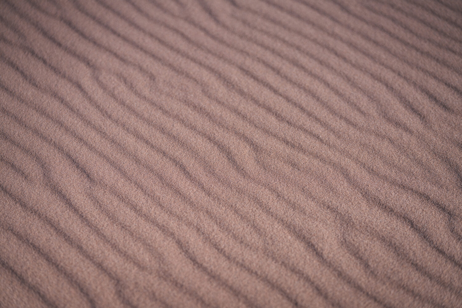 Driving in sand and the dunes