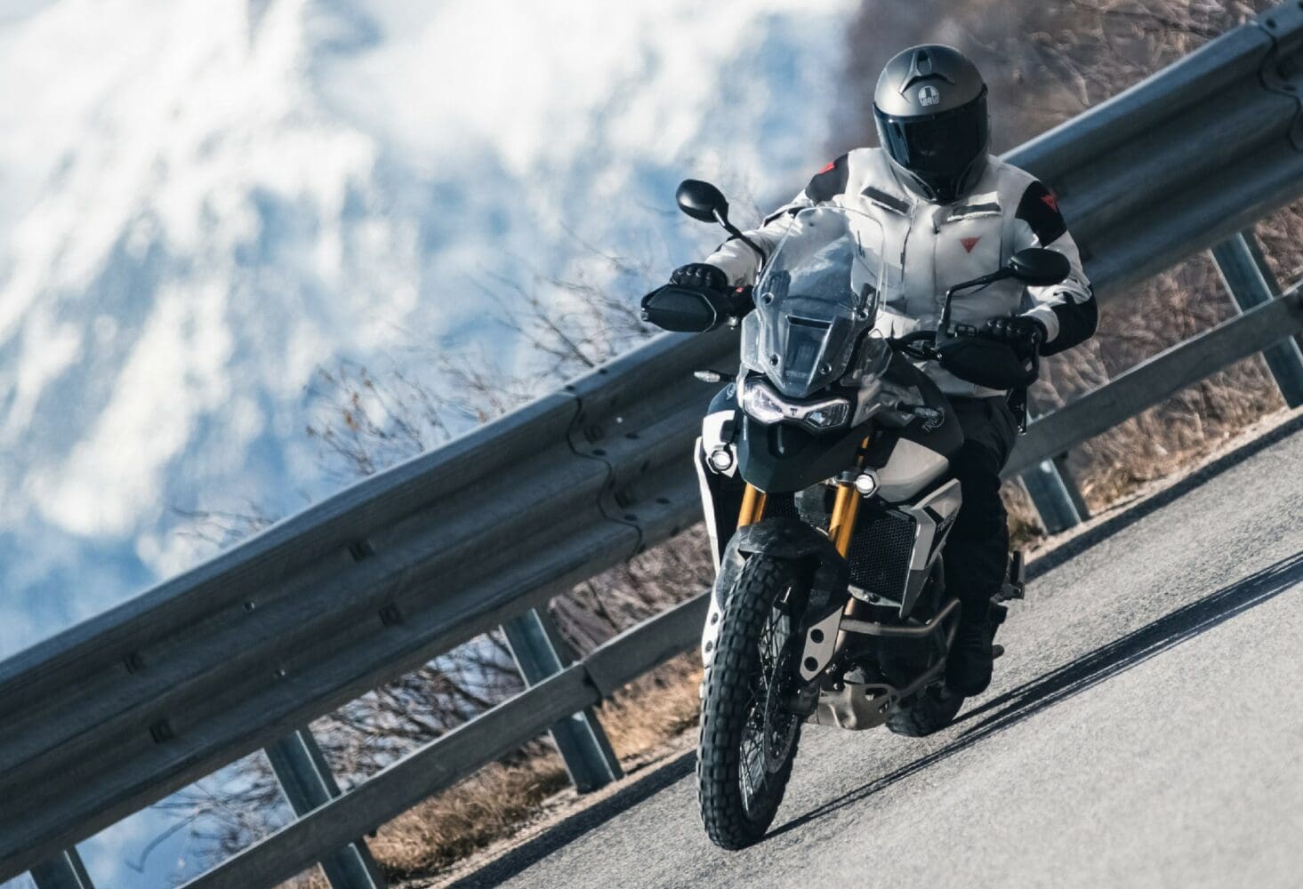 Dainese ダイネーゼ　アームガード　美品 Dainese ダイネーゼ アームガード 美品 Dainese ダイネーゼ アーム