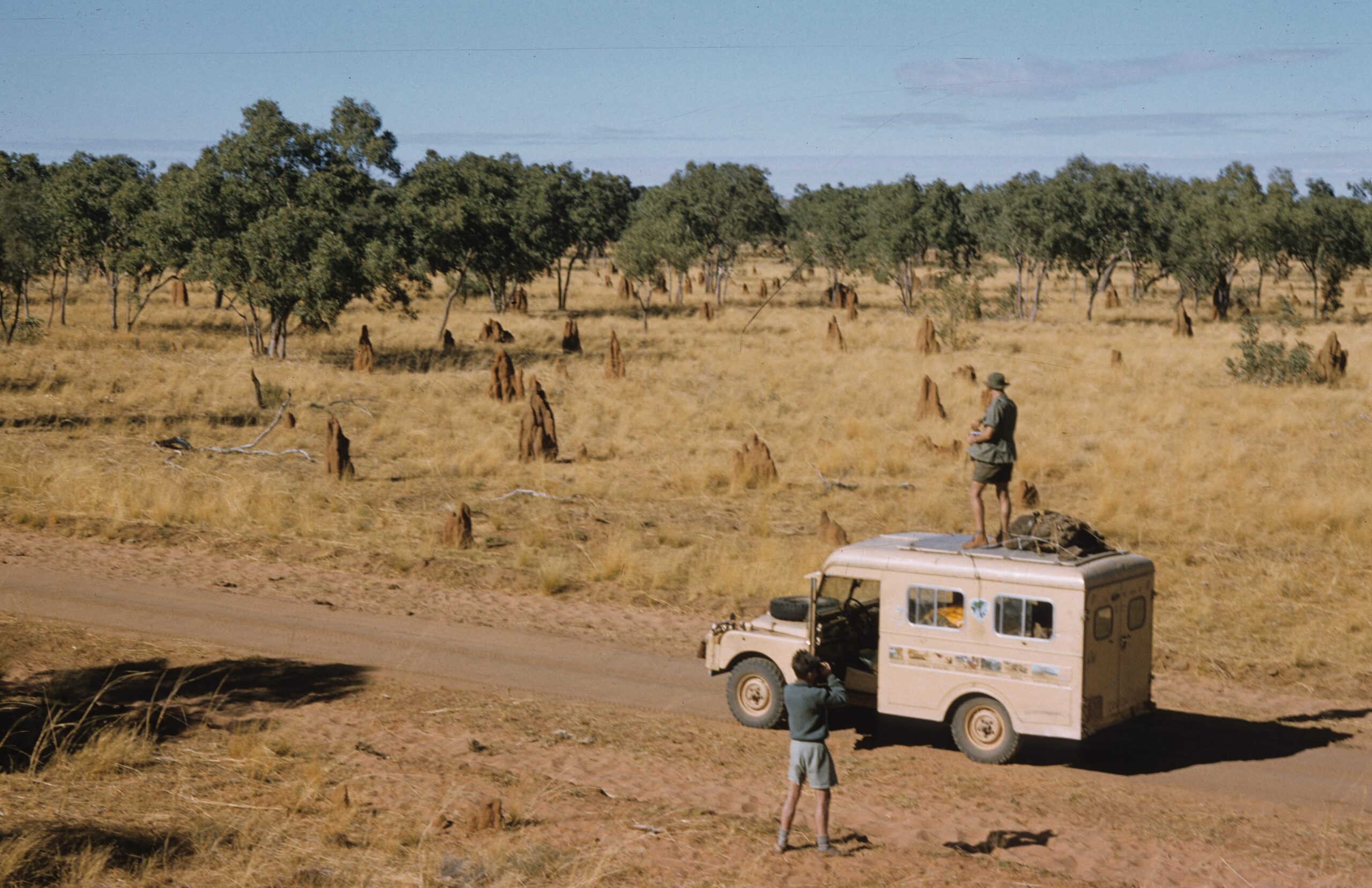 bateman and foster africa safari