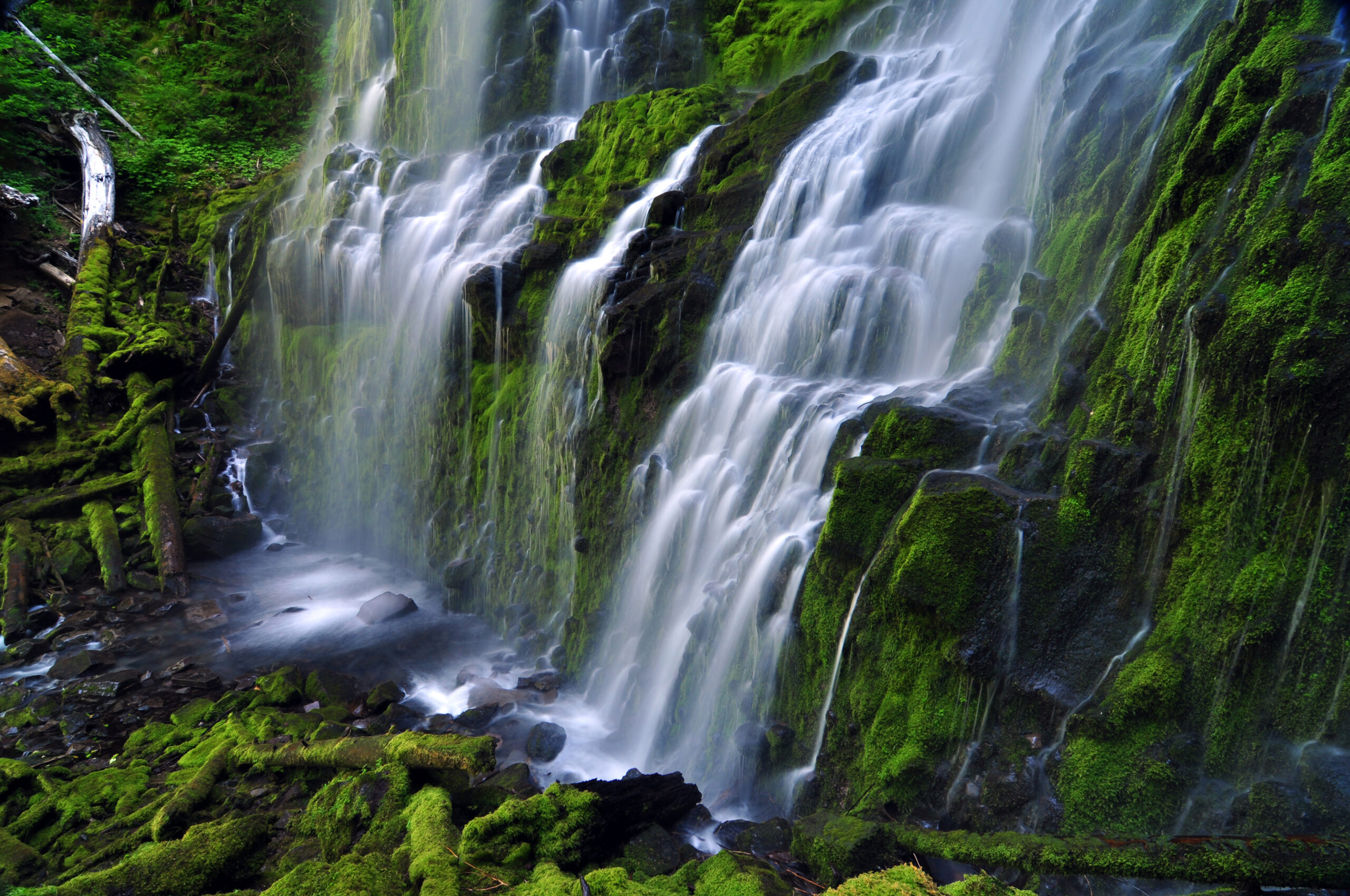 waterfall near home