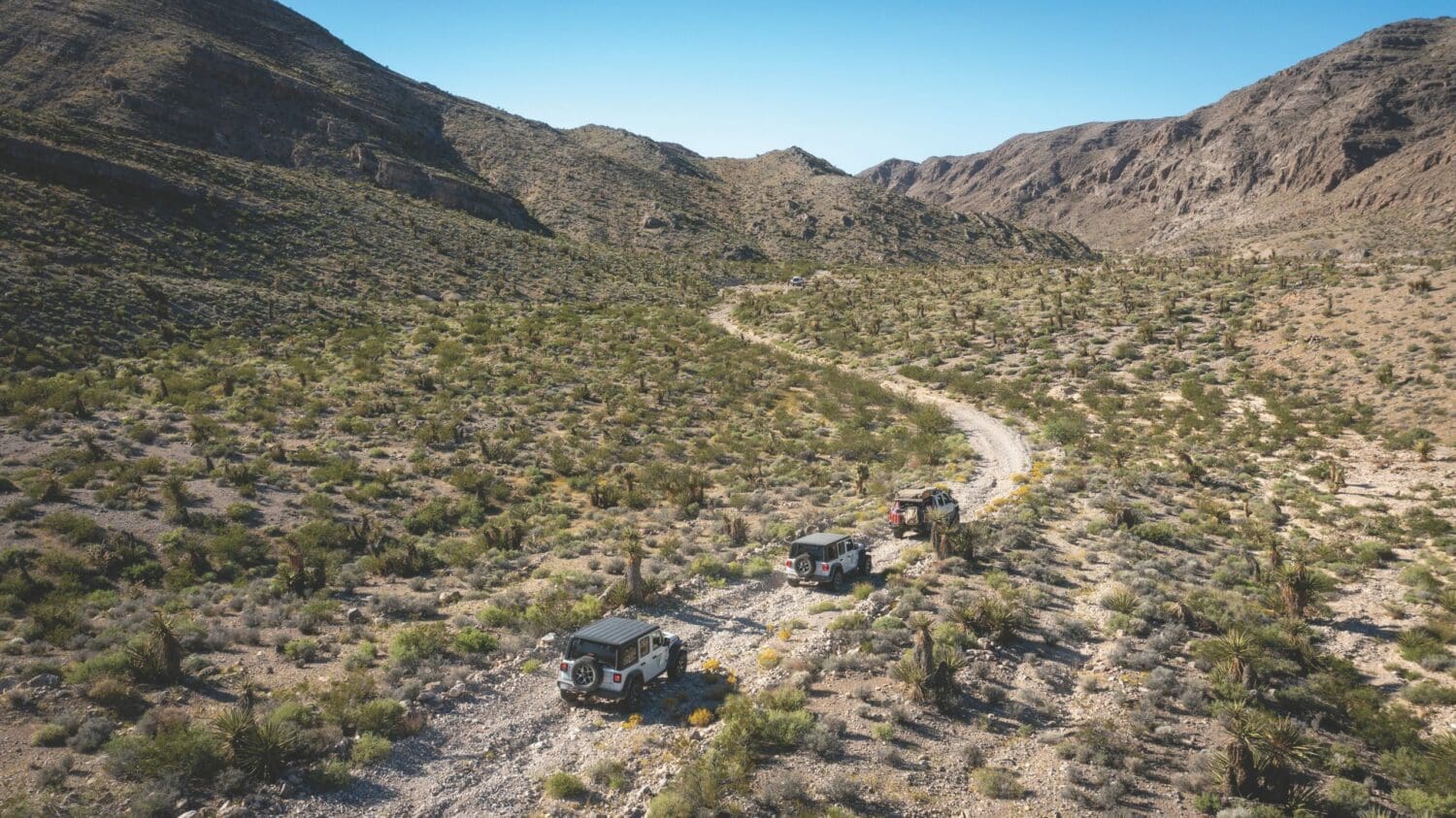 The Explorers Club: Not Just for Scientists