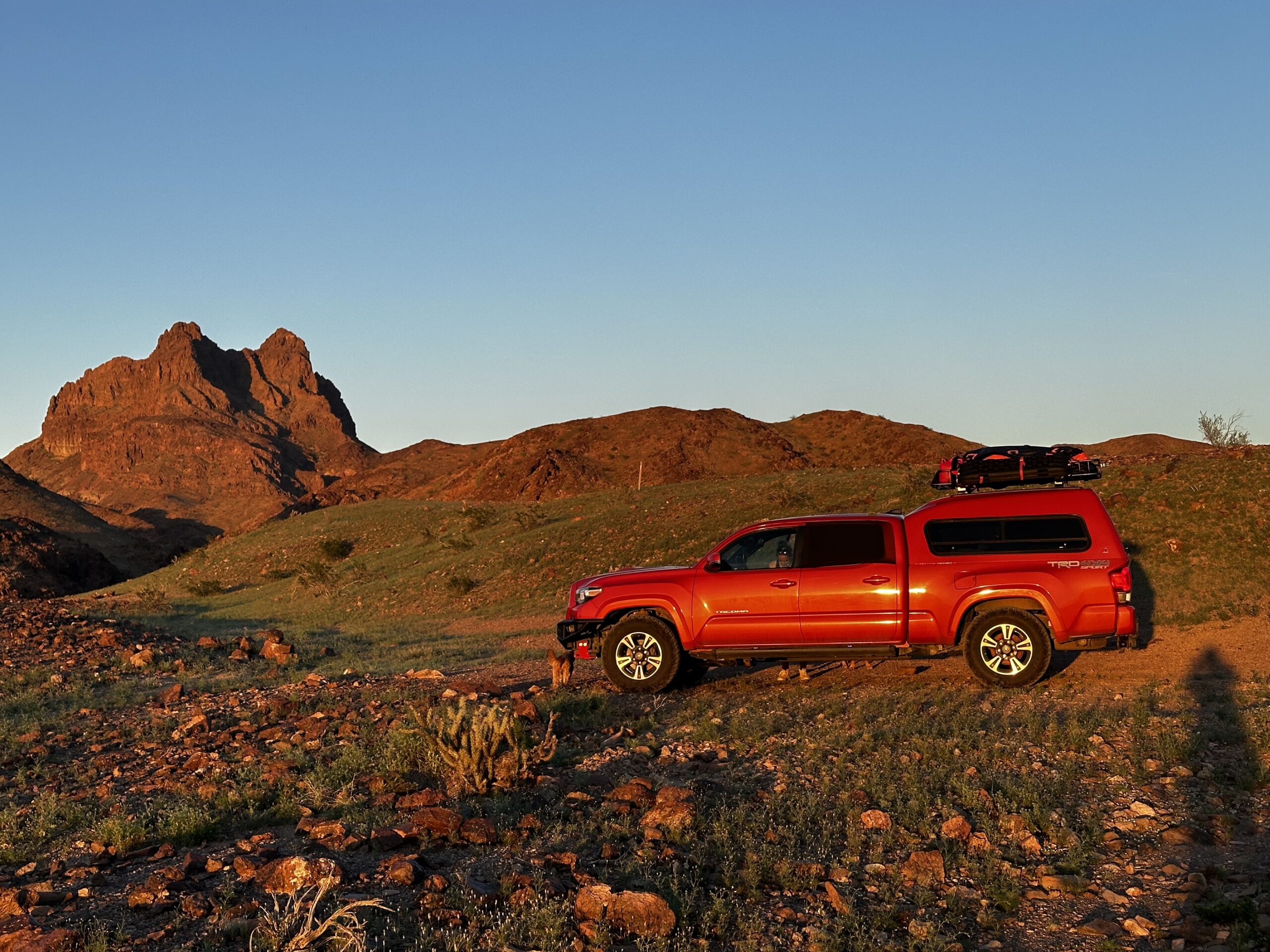 Tacoma TRD Sport overland 