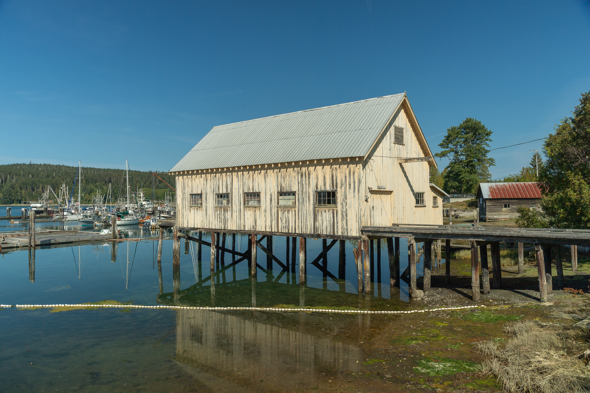 fish shack vancouver island