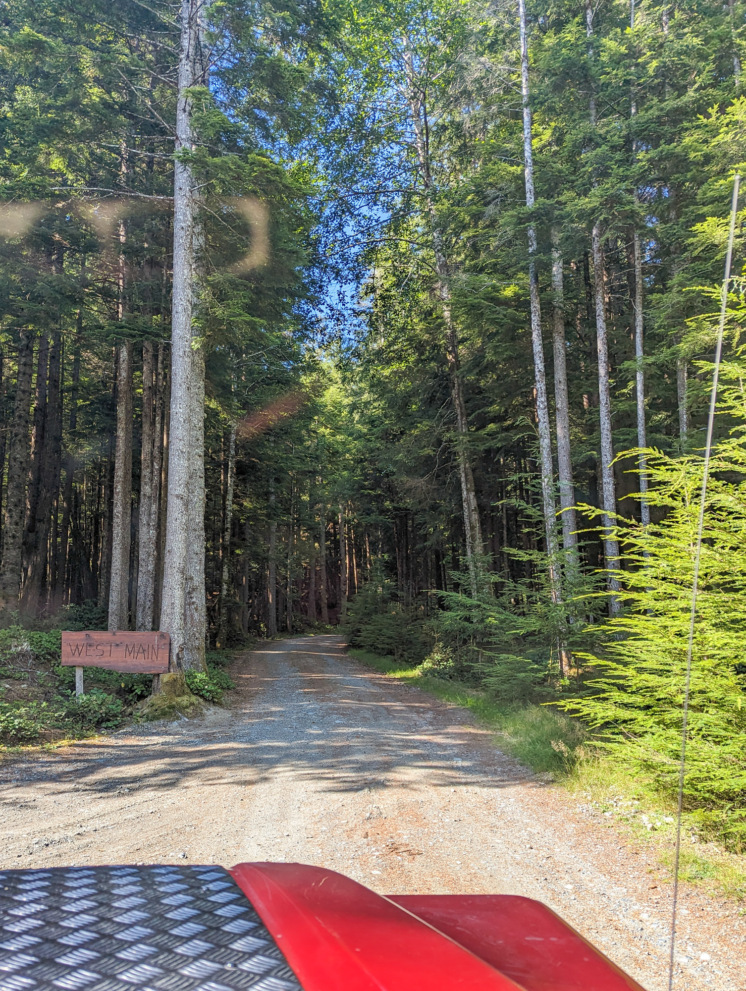 forestry service road vancouver island