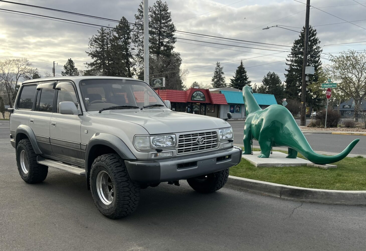 IMG_7142-scaled-e1744746953578