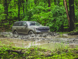 2025 Ford Expedition