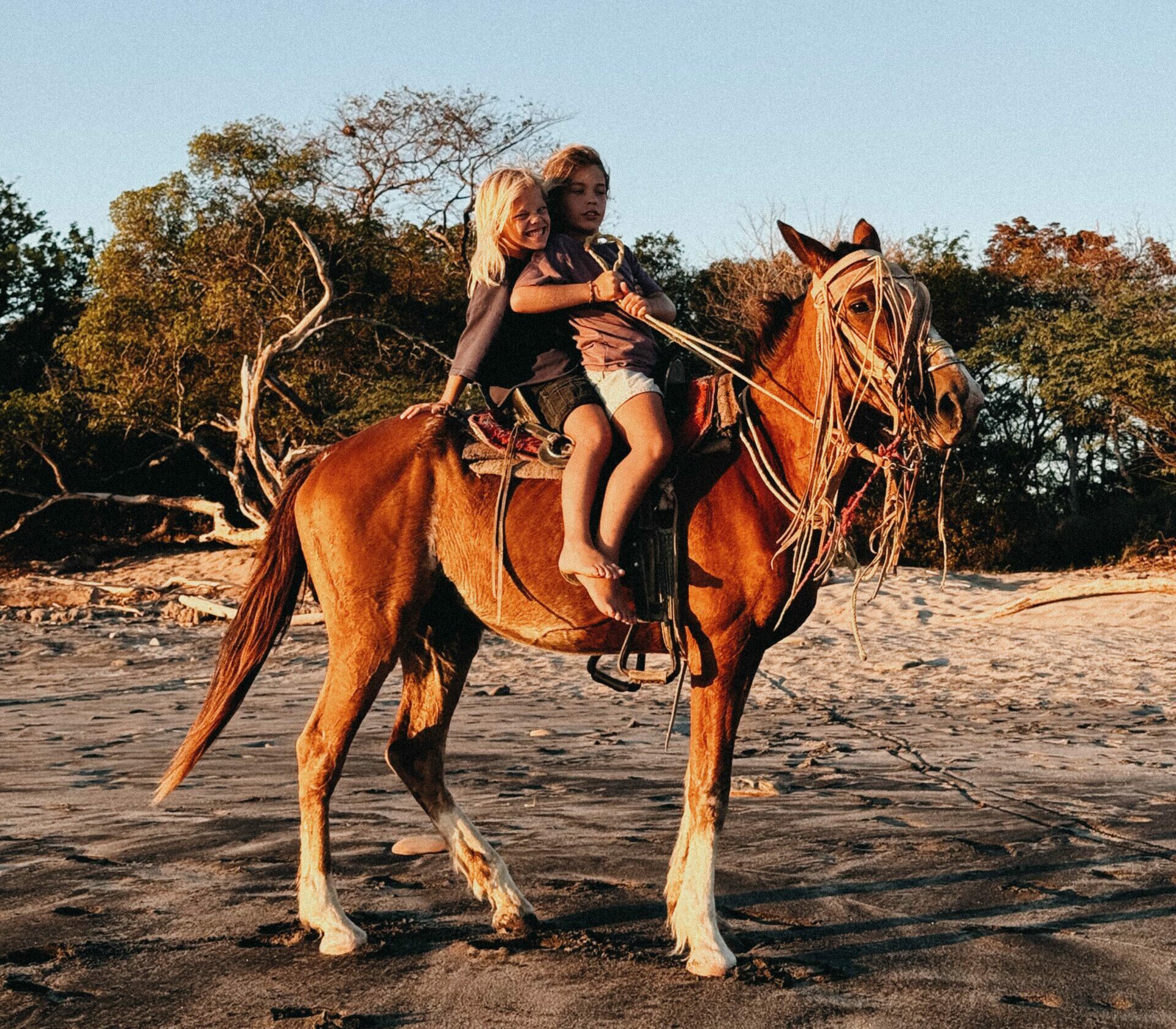 Pan American Highway