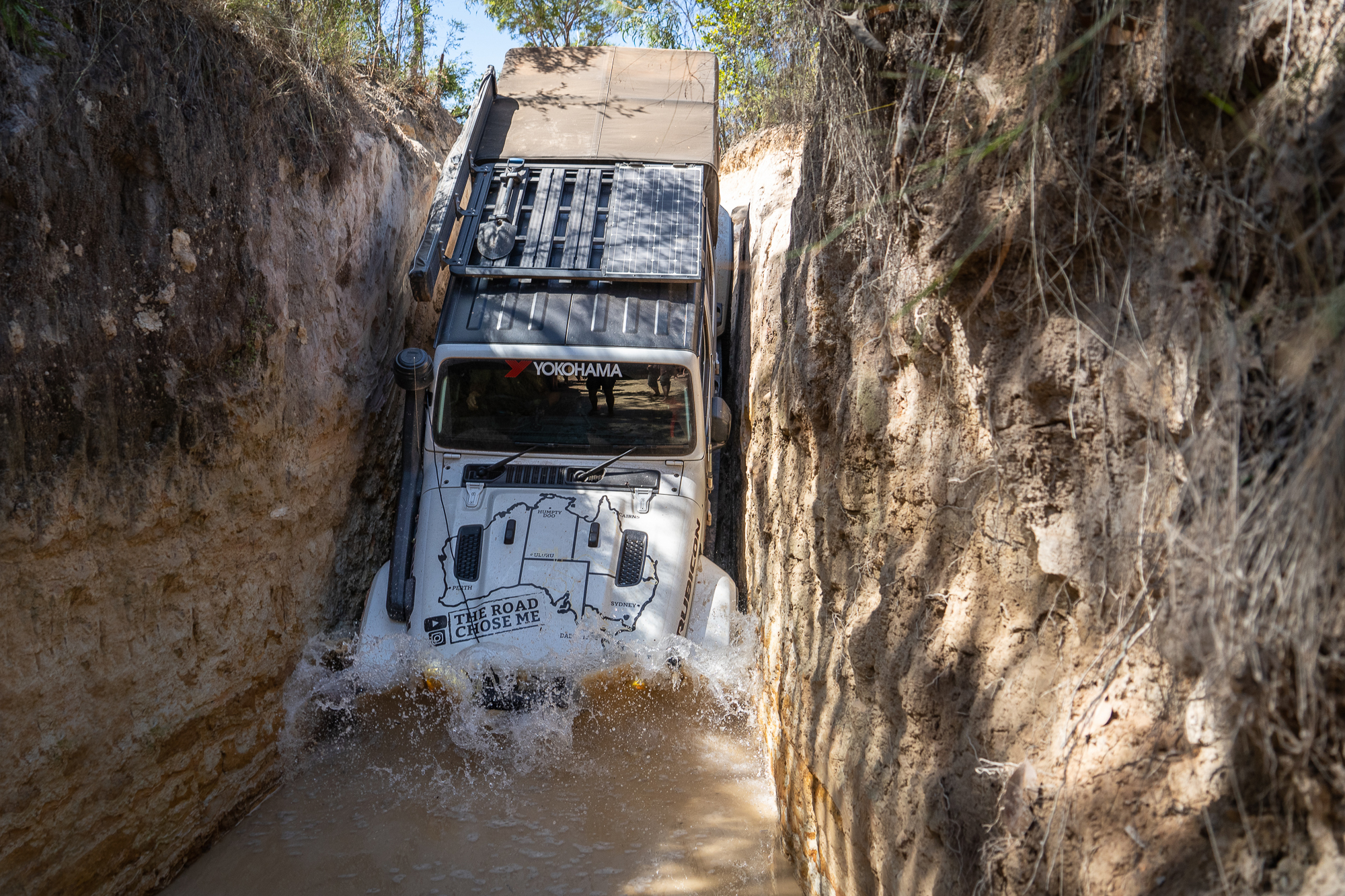 올드 vs 뉴 댄 그레크