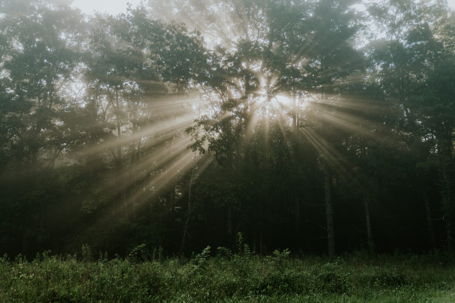 Hankook Dynapro AT2 Xtreme tire at Smokey Mountain National Park and Tail of the Dragon during the Great Smoky Mountain Bronco Stampede 2025