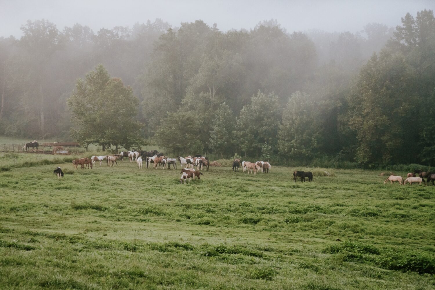 Hankook Dynapro AT2 Xtreme tire at Smokey Mountain National Park and Tail of the Dragon during the Great Smoky Mountain Bronco Stampede 2025