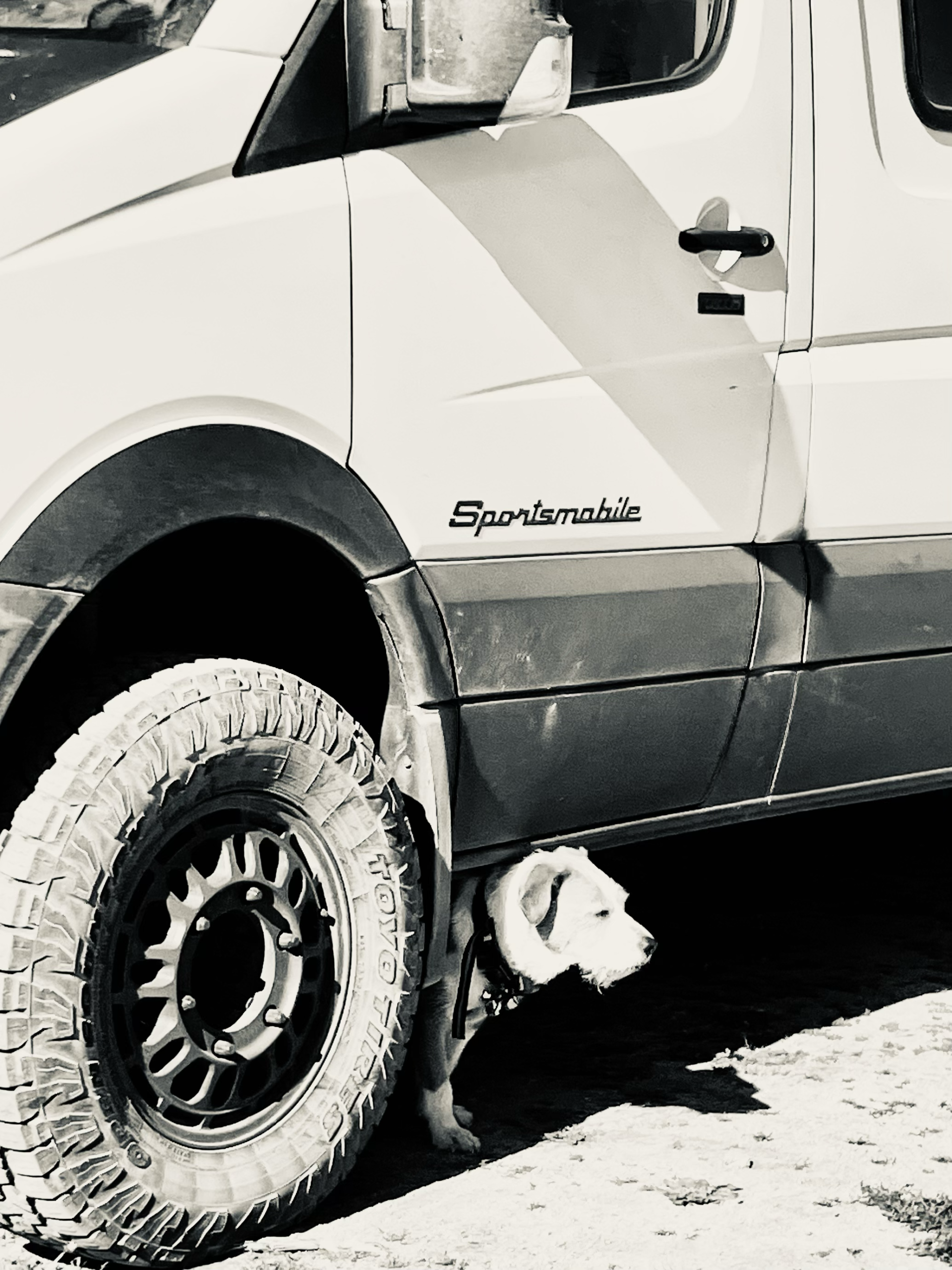 Sprinter overland 