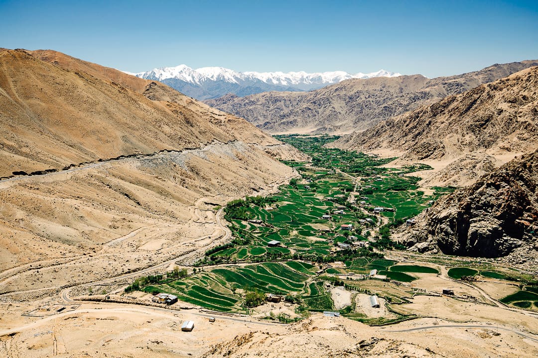 A lush green valley with terraced fields contrasts with Ladakh’s arid, rocky mountains; snow-capped peaks are visible in the distant background under a clear blue sky.