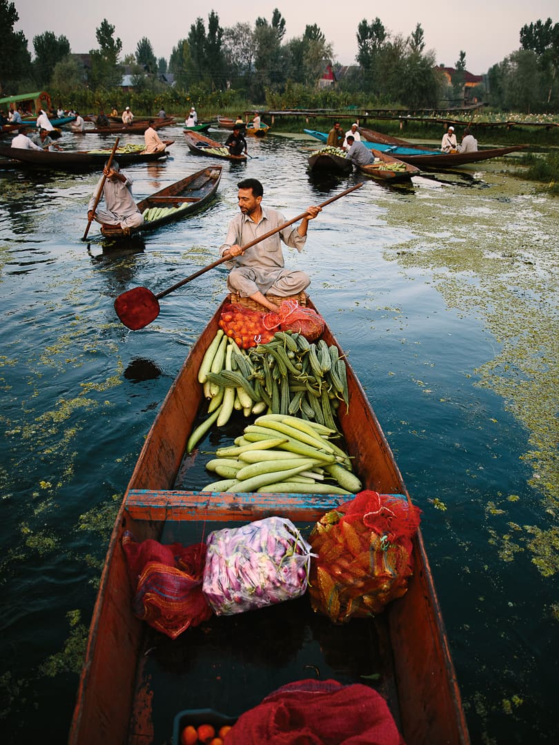A man paddles a wooden boat filled with fresh vegetables on a serene lake in Kashmir, surrounded by other vendors in boats. Green plants float on the water, and trees line the shore in the background.
