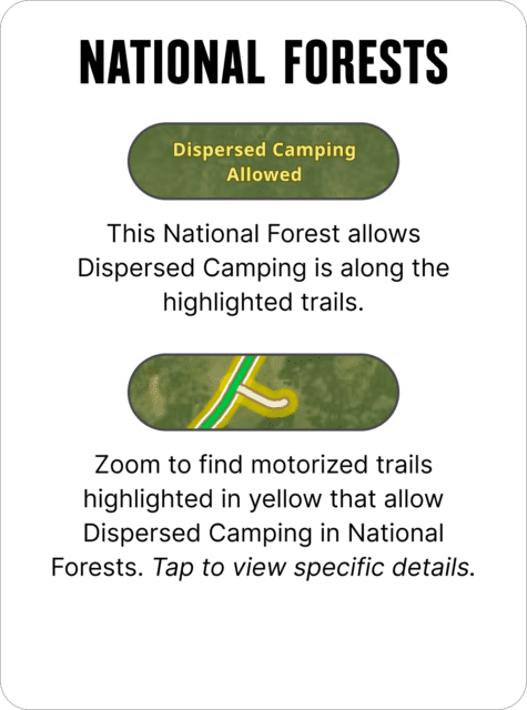 Informational sign titled “National Forests” from Overland News. It states dispersed camping is allowed along highlighted trails, showing a map excerpt with yellow-marked routes. Tap for details on motorized trails permitting camping.