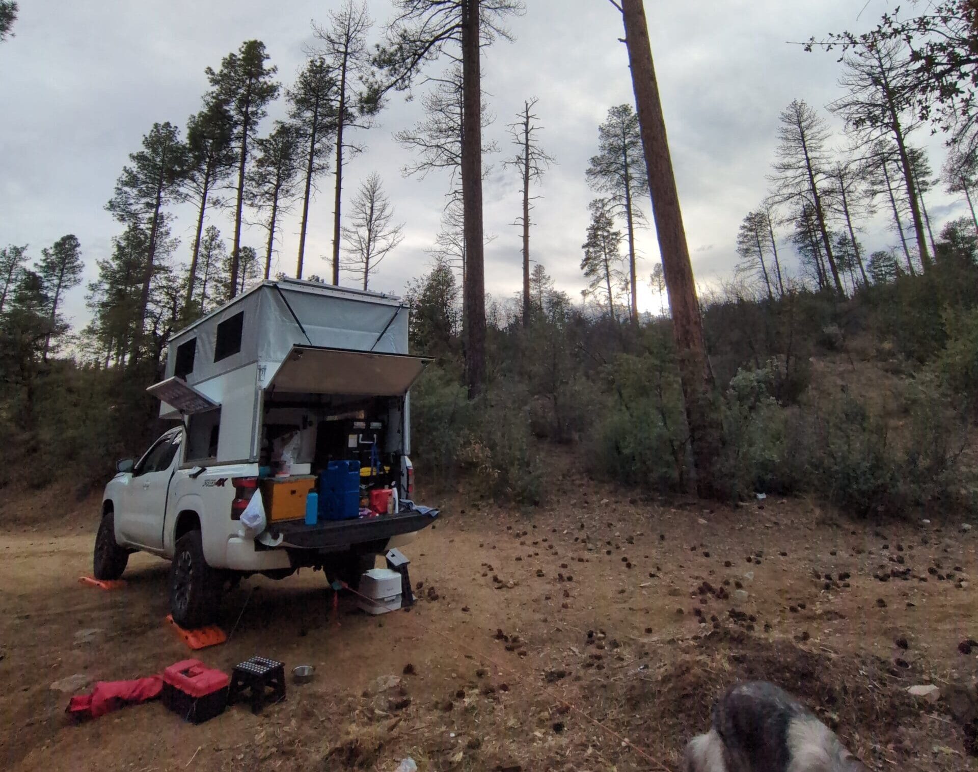 Nissan Frontier Pro-4x