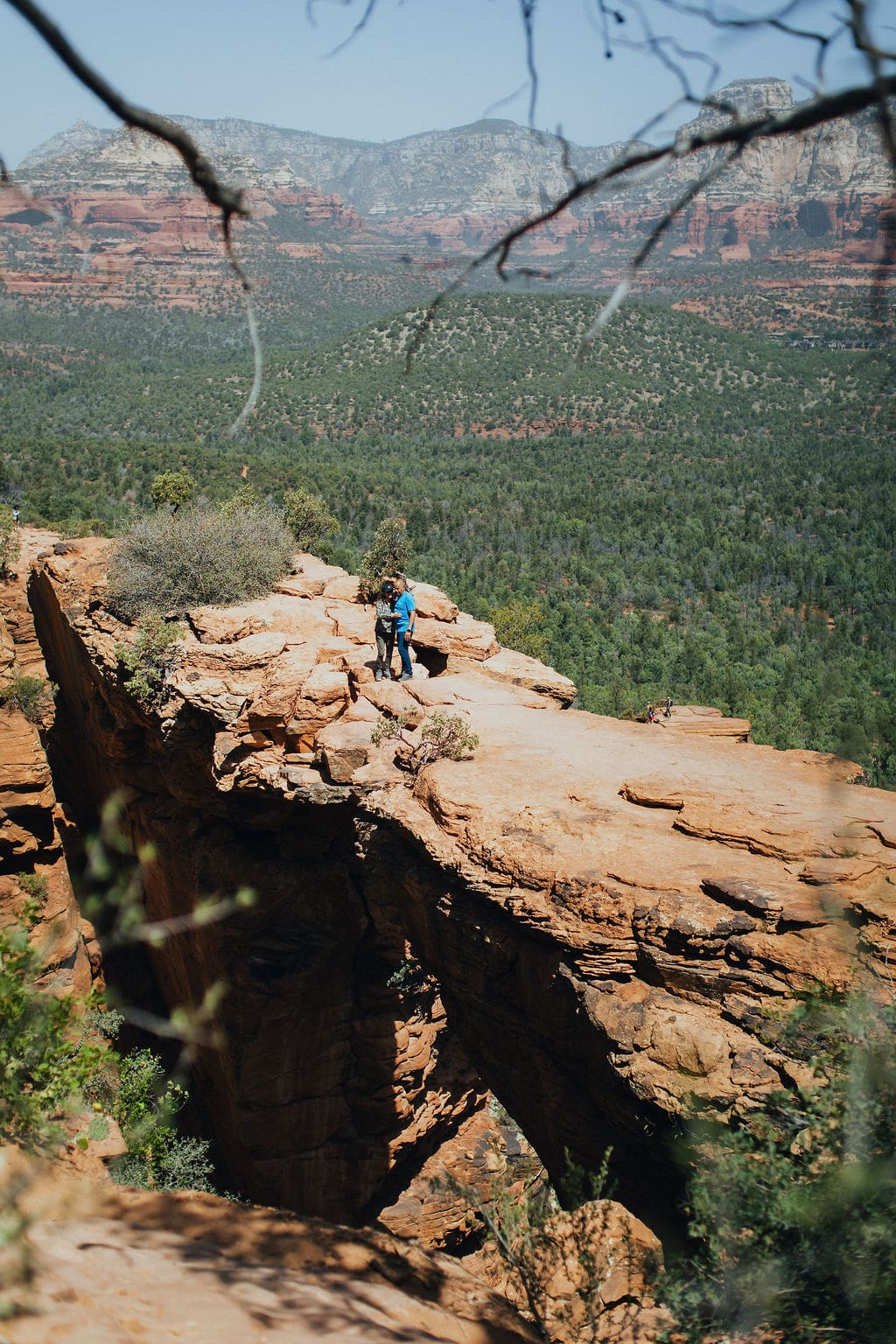 A person stands on a rocky ledge overlooking a forested valley with distant mountains under a clear sky, embarking on one of their 36-Hour Adventures; tree branches frame the top of the image.