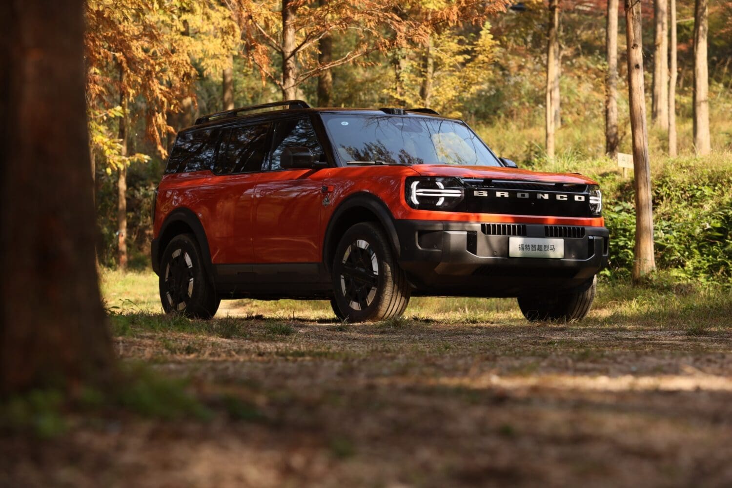 A red Ford Bronco SUV, known for its impressive availability and rugged charm, is parked on a dirt path surrounded by tall trees and greenery on a sunny day.