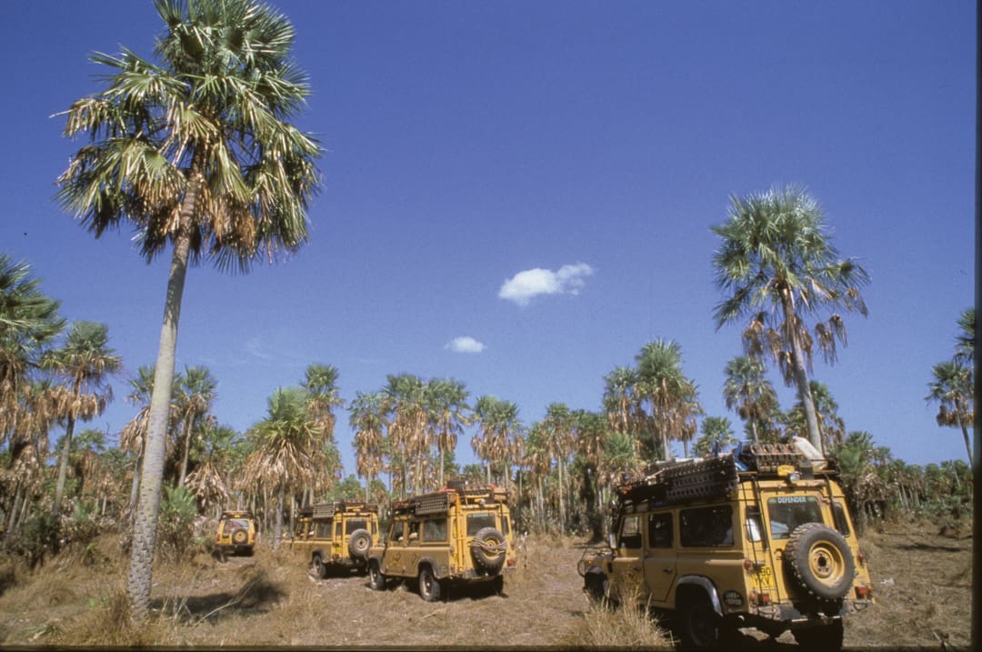Four yellow Land Rovers are parked among tall palm trees under a clear blue sky with one small cloud. The terrain is grassy and dry, and the vehicles appear prepared for an expedition—perhaps one that spans 6,000 miles over 28 days.