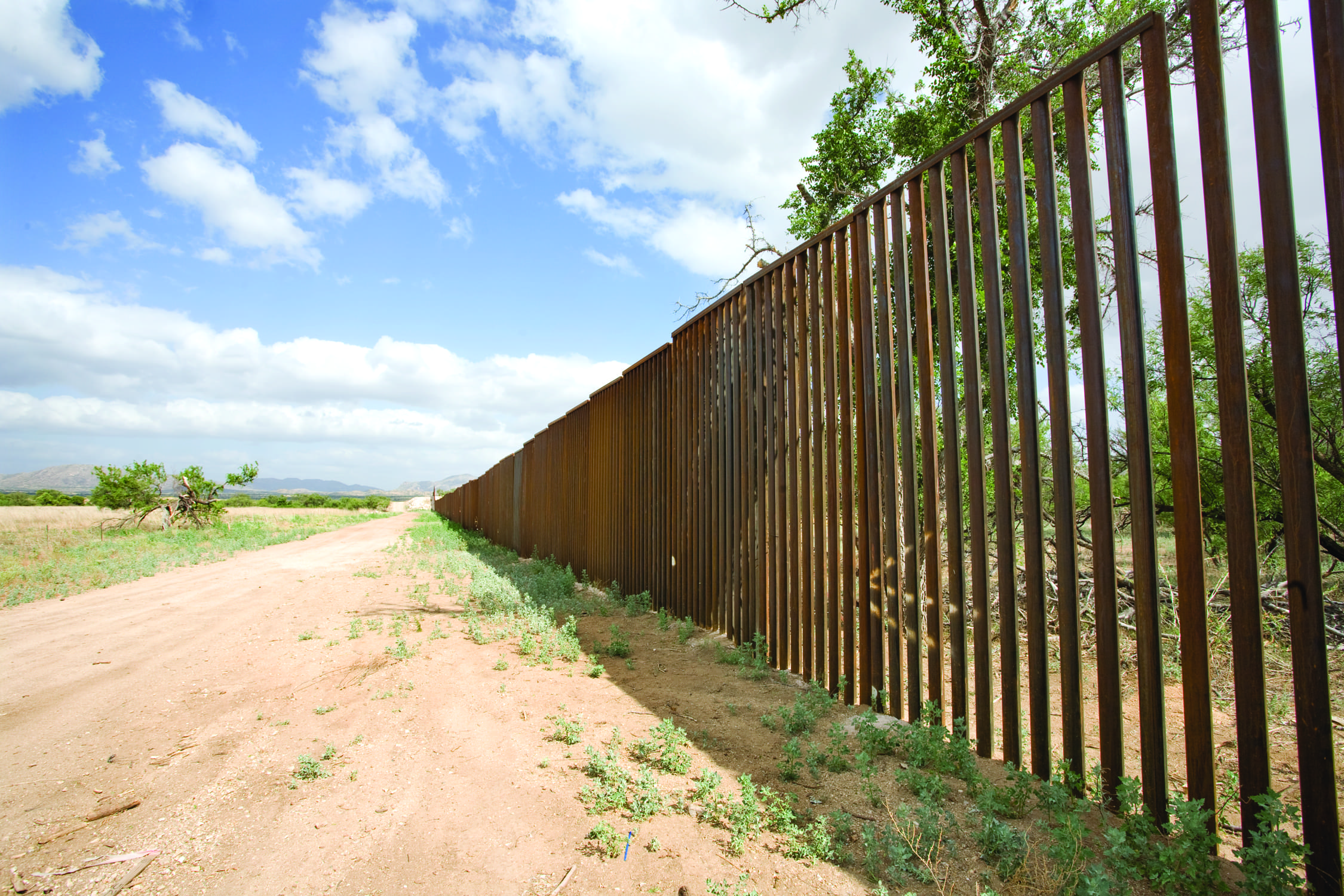 A tall metal border fence runs alongside a dirt path in Arizona borderlands, set in a rural landscape with scattered trees, green grass, and a partly cloudy blue sky.