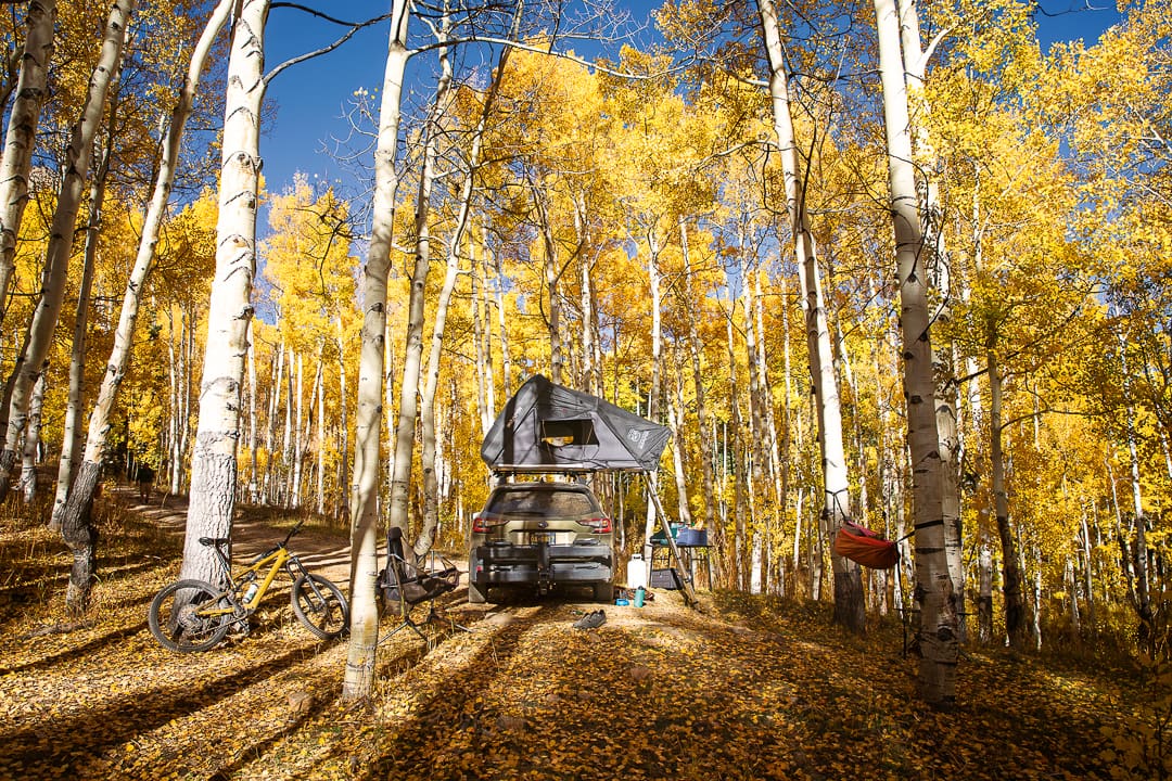 A car with a rooftop tent is parked in a Colorado forest of tall trees with yellow autumn leaves. Nearby are a bicycle, a hammock, two chairs, and camping gear scattered on the leaf-covered ground—making it clear that fall is the best season for an outdoor adventure.