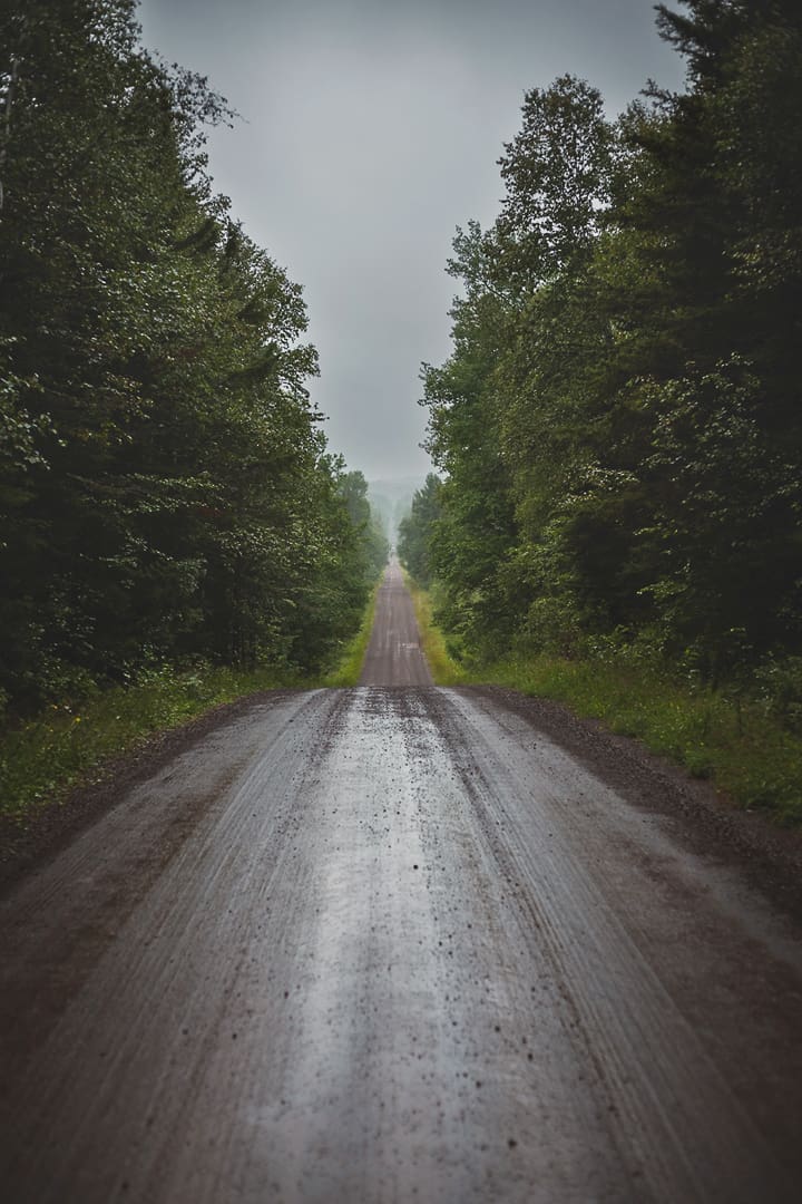 A long, wet gravel road stretches into the distance between dense green trees under an overcast, cloudy sky—perfect for adventure bikepacking through the wilds of Minnesota.