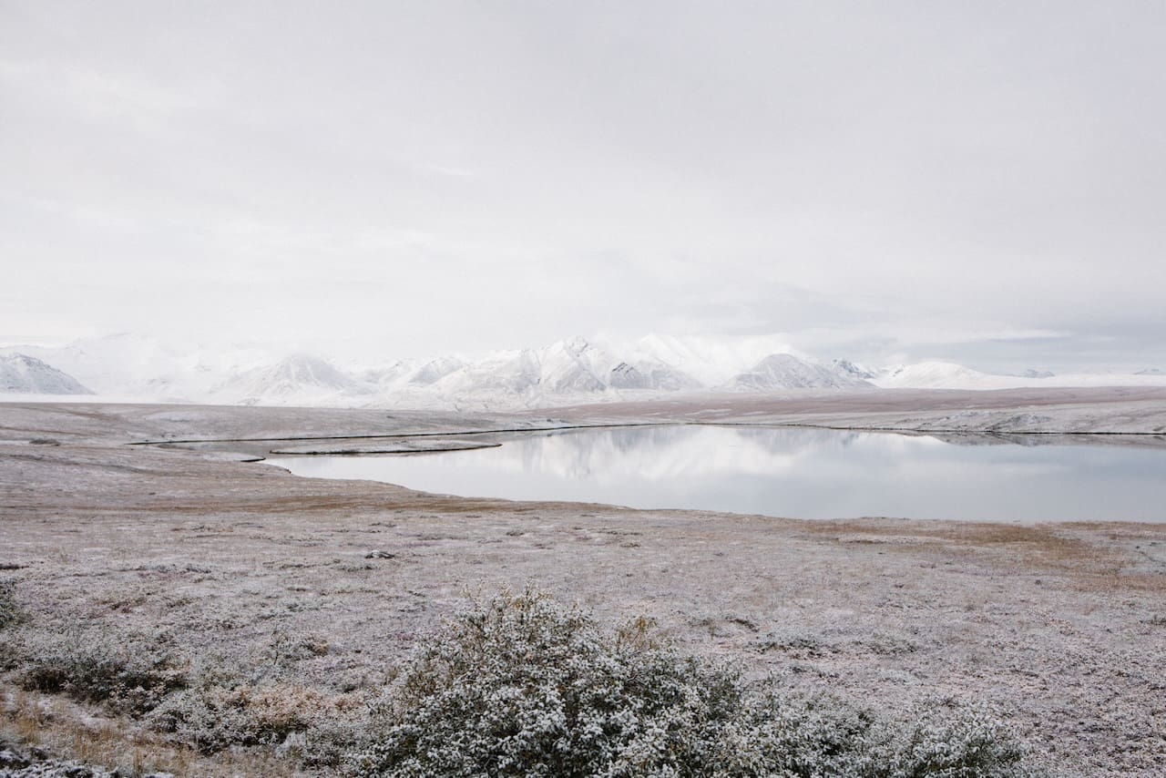 Snow-dusted tundra with sparse bushes in the foreground leads to a calm lake reflecting distant snow-covered mountains under a pale, overcast sky.