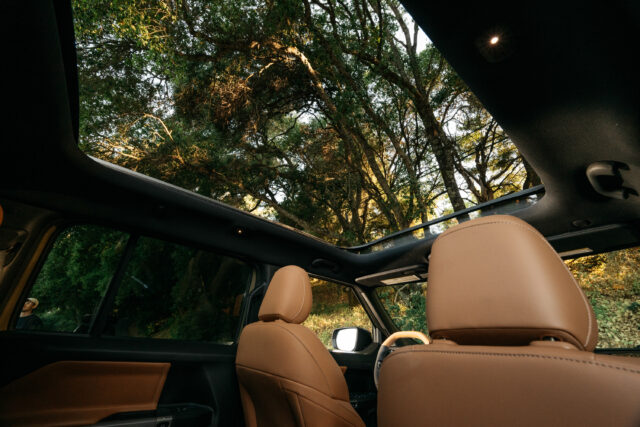 View from a Jeep Recon’s back seat looking up through a panoramic sunroof at tall, leafy trees. Sunlight filters through the branches. The front seats are brown leather.