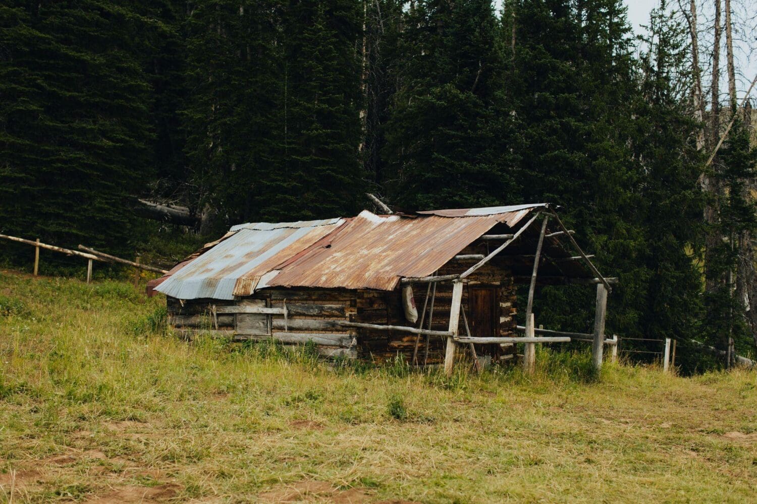 An old, weathered wooden cabin with a rusted metal roof sits in a grassy clearing in the heart of Montana’s Gravelly Range, surrounded by tall pine trees under a cloudy sky—a perfect scene for those seeking travel and adventure off the beaten path.