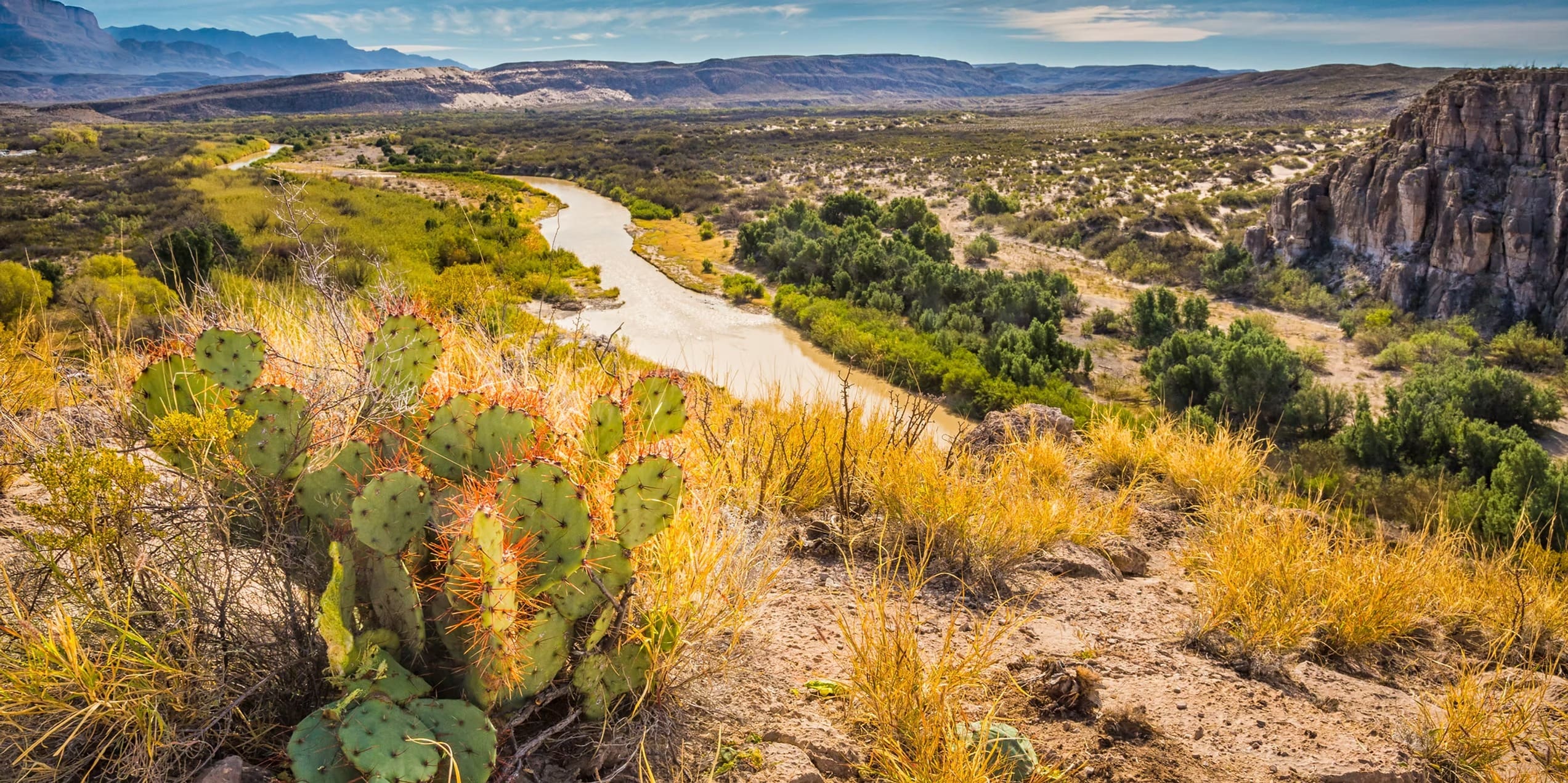 A prickly pear cactus in the foreground overlooks a winding river, green brush, and rugged hills under a partly cloudy sky in a desert landscape—a scene reminiscent of those featured in Overland News.