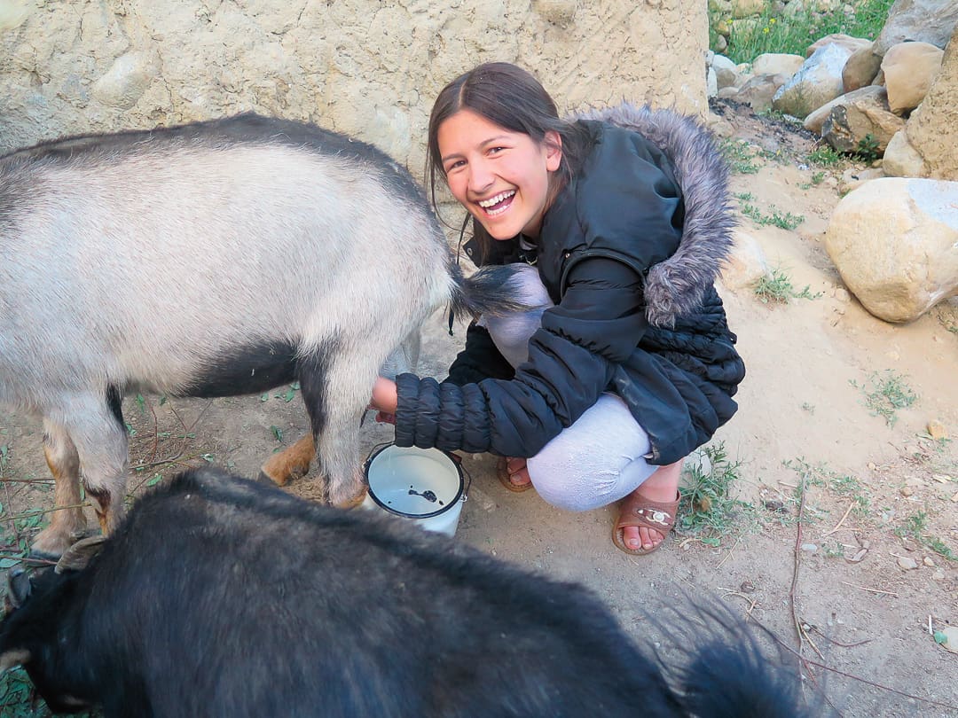 A smiling person in a black jacket squats while milking a goat into a white pail outdoors in the Pamirs, with another goat nearby and rocks in the background.