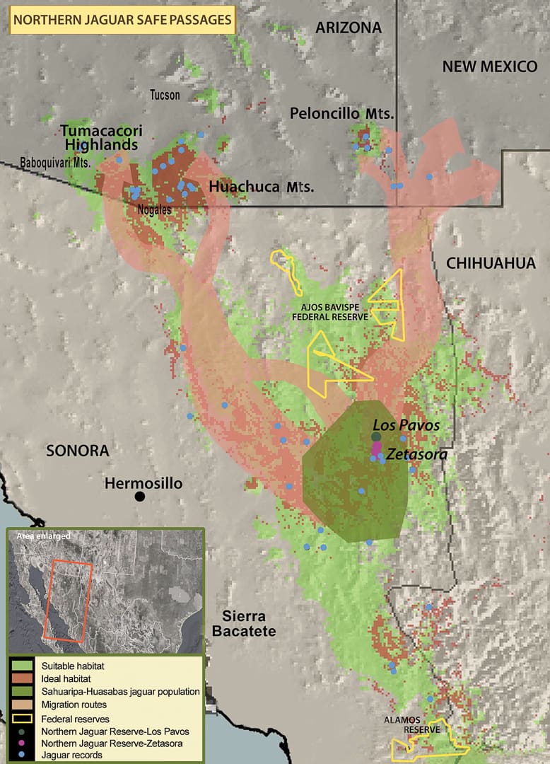 Map showing Jaguar habitats, migration routes, and reserves across the Arizona borderlands, New Mexico, and northern Sonora. Colored zones indicate suitable habitat, movement corridors, and protected areas for these cats.